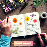 eBoot 72 Pcs Dried Pressed Flowers for Resin Molds Real Pressed Flowers Dry Leaves Bulk Natural Herbs Kit for Scrapbooking DIY Art Crafts Jewelry EBOOT