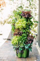 Greenstalk Patented Large 5 Tier Vertical Garden Planter with Patented Internal Watering System Great for Growing a Variety of Strawberries, Greenstalk