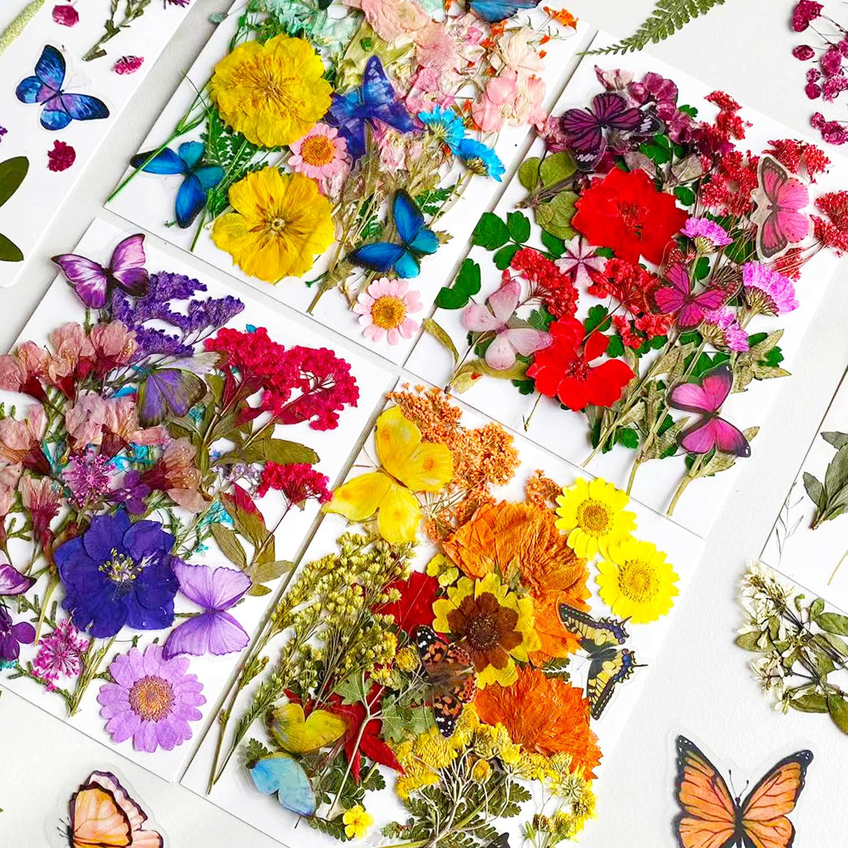 MIKIYA 103Pcs Dried Pressed Flowers with Butterfly Stickers for Resin Molds, Real Natural Bulk Dry Floral Leave for DIY Art Crafts, Epoxy Jewelry, MIKIYA