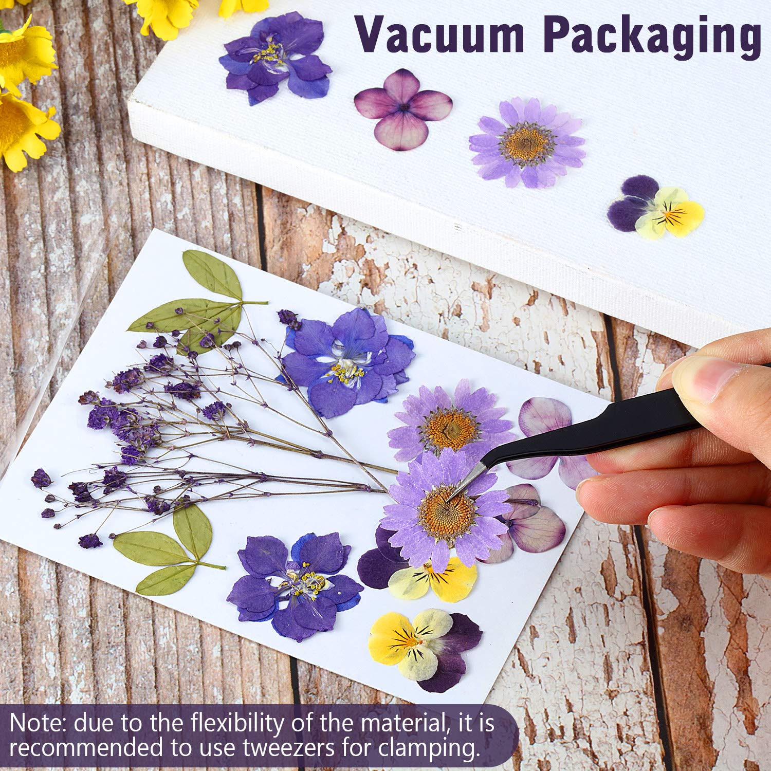 eBoot 72 Pcs Pressed Flowers Bulk Dried Flower for Resin Mold Dried Pressed Flower Leaves Set for Crafts Christmas DIY Gift Floral Scrapbooking EBOOT