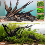Jorewood Natural Large Coral Driftwood for Aquarium Decor Fish Tank Decorations Reptile Decor, Assorted Driftwood Branch 9-14" 2 Pcs Jorewood