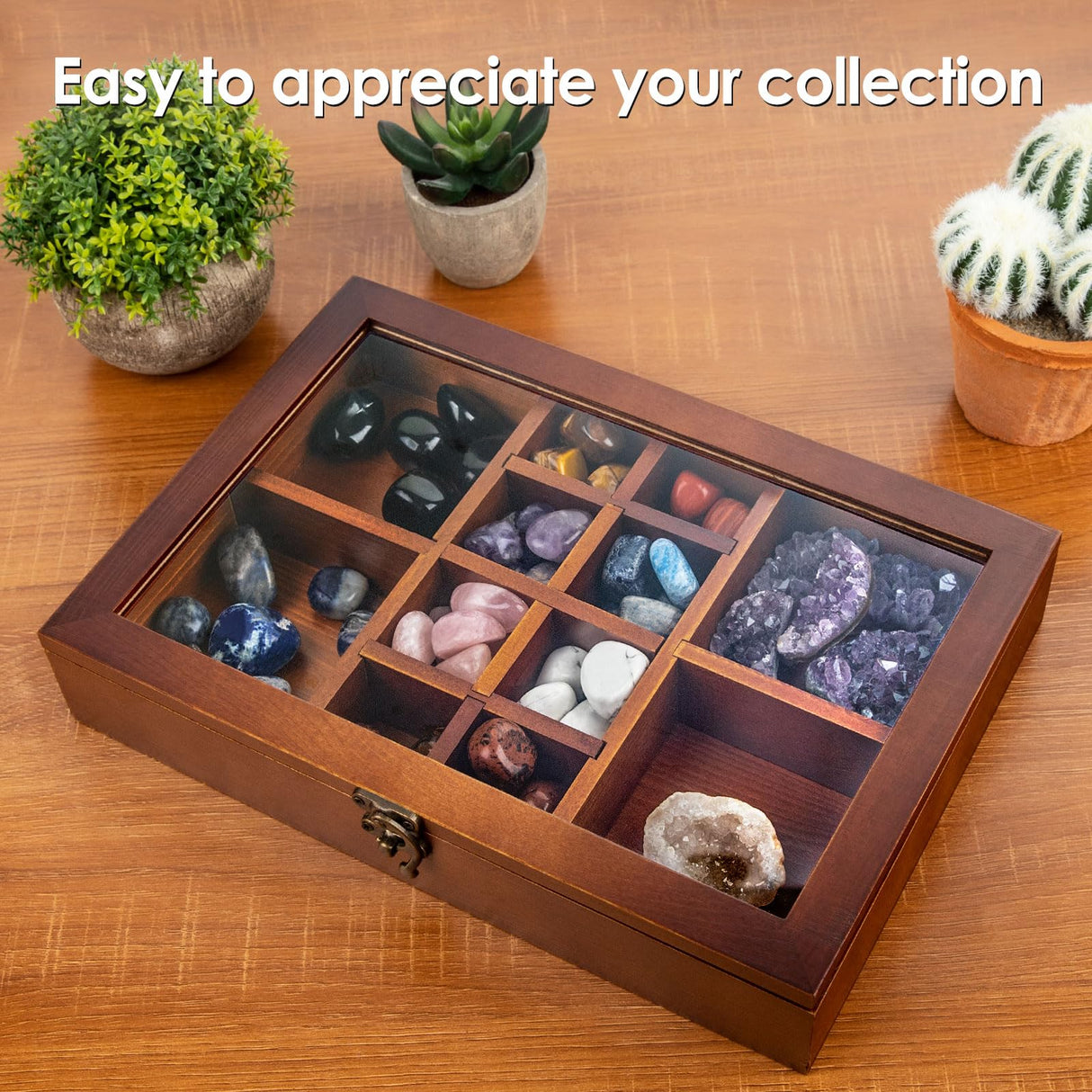 Mooncraftlogy Adjustable Rock Display Case, Crystal Collection Box with Shelves, Wood Witchy Stones Organizer Storage,Gem Holder with Lid for Mooncraftlogy