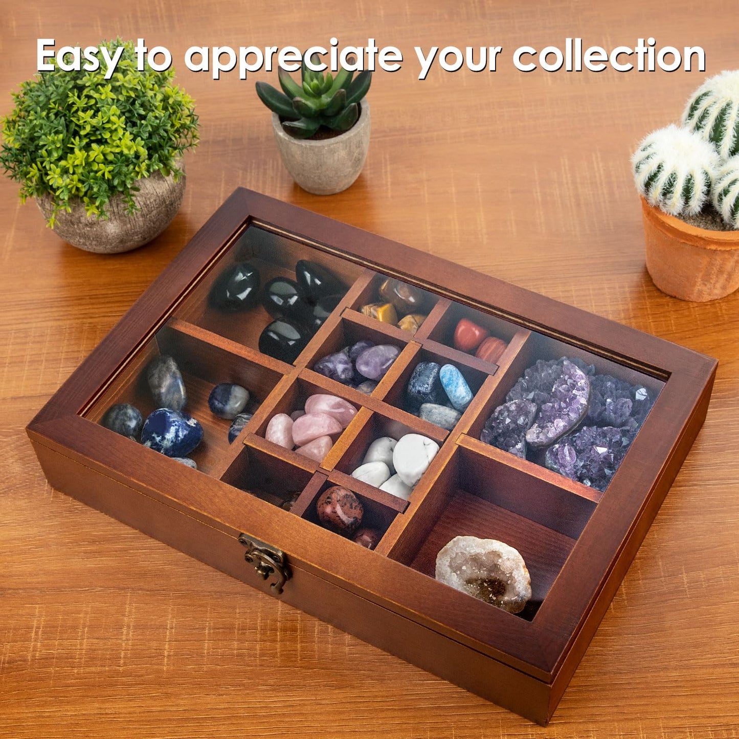 Mooncraftlogy Adjustable Rock Display Case, Crystal Collection Box with Shelves, Wood Witchy Stones Organizer Storage,Gem Holder with Lid for
