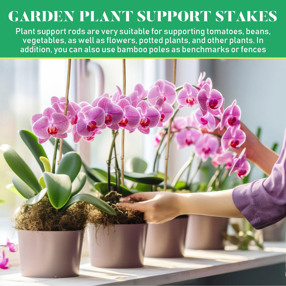 Suclain 100 Pcs Bamboo Plant Stakes Plant Support Stakes Indoor and Outdoor Garden Sticks Garden Stakes for Tomato, Bean, Flowers, Trees Potted and Suclain