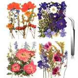 Pressed Flowers Bulk Dried Flower for Resin Mold, Dried Flower Leave Natural with Tweezer for Crafts Christmas DIY Gift Scrapbooking(Gorgeous Style) Nuanchu