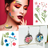 Nuanchu Pressed Flowers Bulk Dried Flower for Resin Mold, Dried Flower Leave Natural with Tweezer for Crafts Christmas DIY Gift Papermaking(Colorful Nuanchu