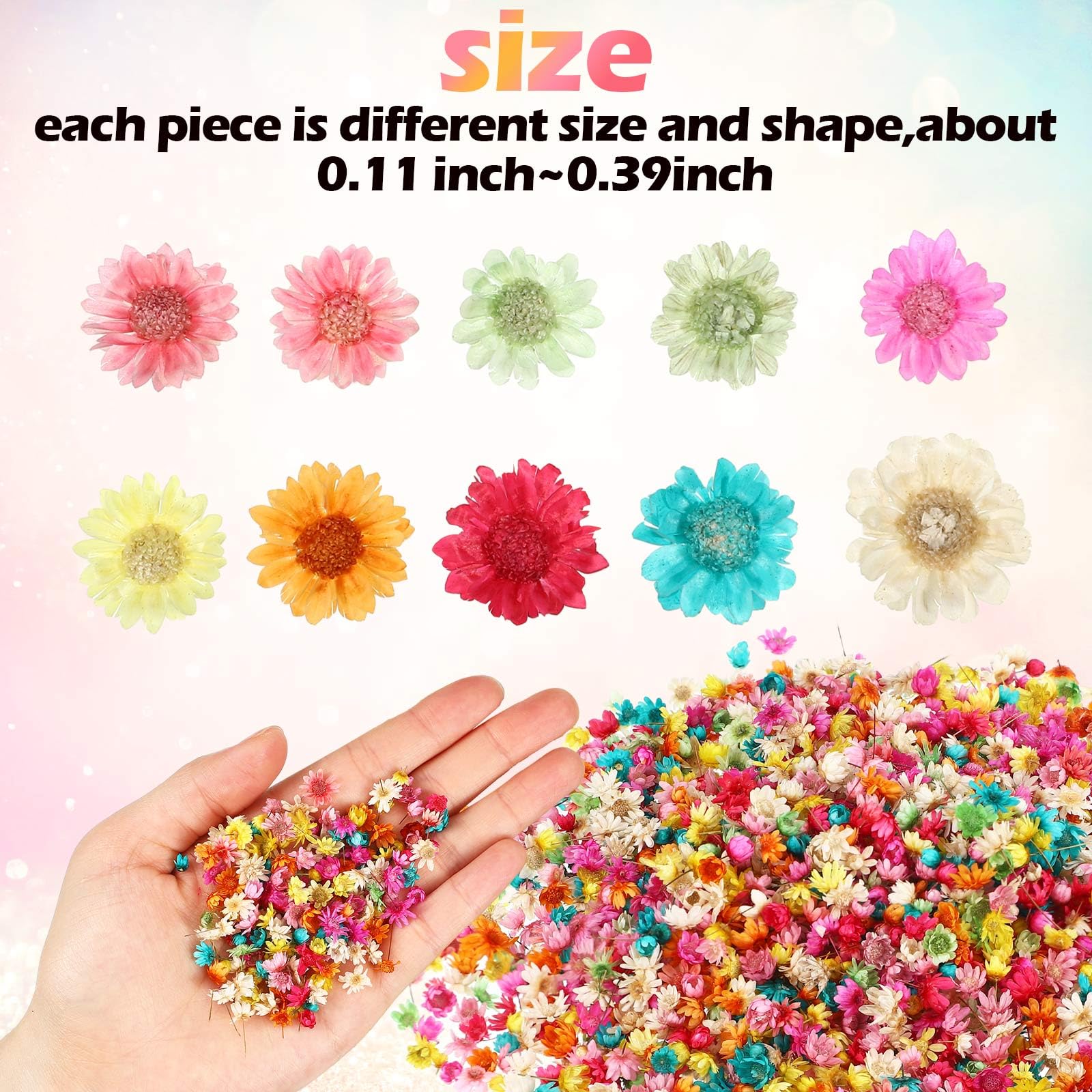 Tinideya 1500 Pcs Mini Natural Dried Flowers for Resin Crafts Little Star Colorful Dried Flowers Heads Real Natural Tiny Dried Pressed Flowers Bulk - WoodArtSupply