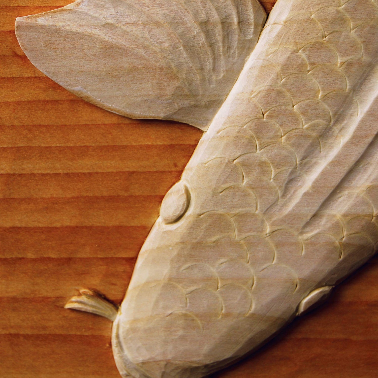 Chris Pye's Woodcarving Course & Reference Manual: A Beginner's Guide to Traditional Techniques (Fox Chapel Publishing) Relief Carving and Design Originals