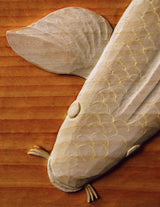 Chris Pye's Woodcarving Course & Reference Manual: A Beginner's Guide to Traditional Techniques (Fox Chapel Publishing) Relief Carving and Design Originals