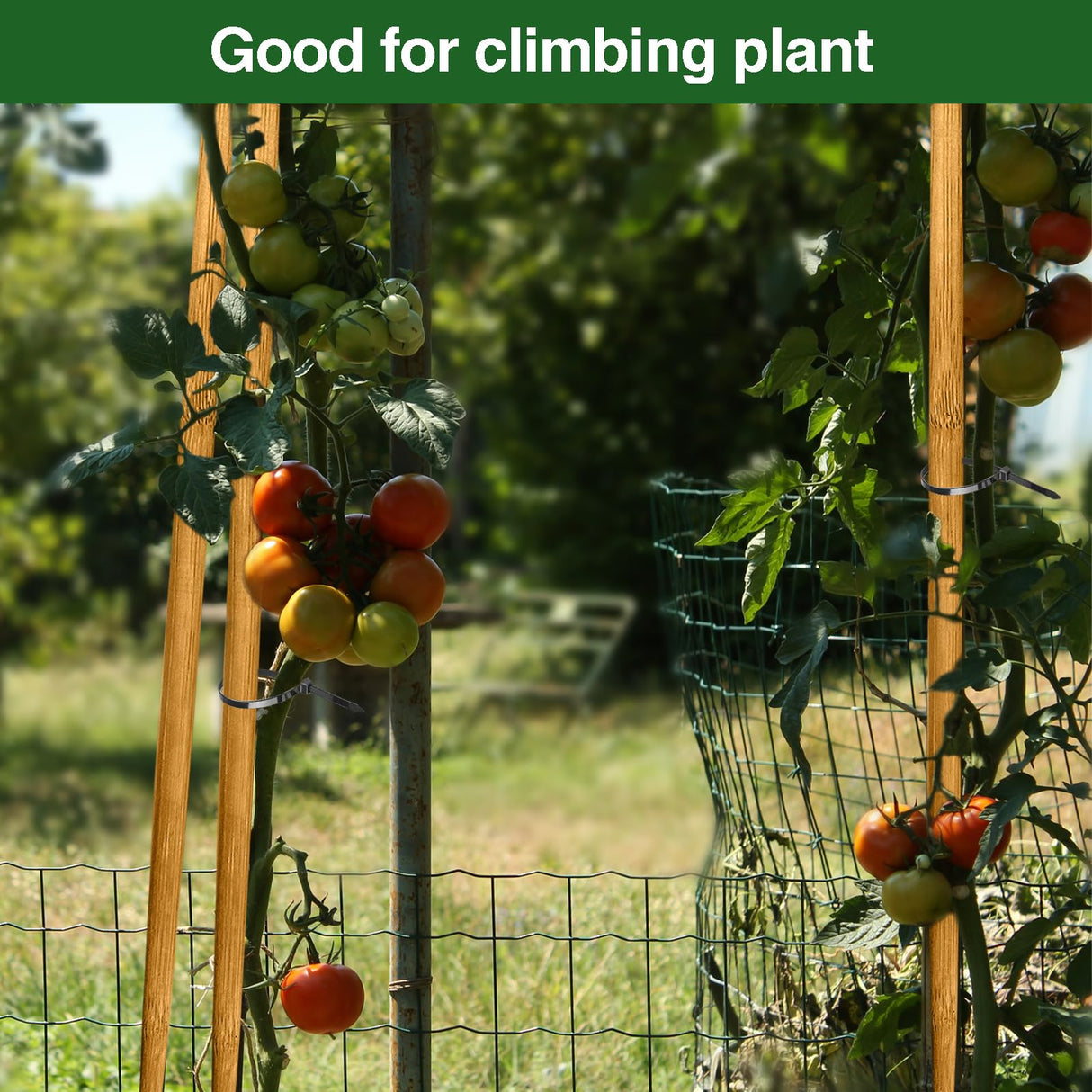 Strong Long Bamboo Plant Stakes for Indoor Plants, 12Pcs Bamboo Sticks for Plants, Plant Sticks Support Tall 18inch, Bamboo Plant Stakes, Garden VIPMORE