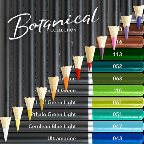 Castle Arts Themed 24 Colored Pencil Set in Tin Box, perfect colors for ‘Botanical’ Art. Featuring quality, smooth colored cores, superior blending & Castle Art Supplies