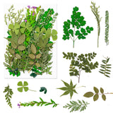 Dried Pressed Flowers, 170+ Pcs Mixed Dried Flowers for Resin, Bulk Natural Dry Floral Resin Fillers Decoration Accessories for DIY Crafts, oddava