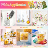 Dried Flowers for Resin, Real Nature Dried Pressed Flower Leaves Bulk with Tweezers for DIY Nail Art Cards Scrapbooking Crafts Jewelry Making Epoxy Cruzix