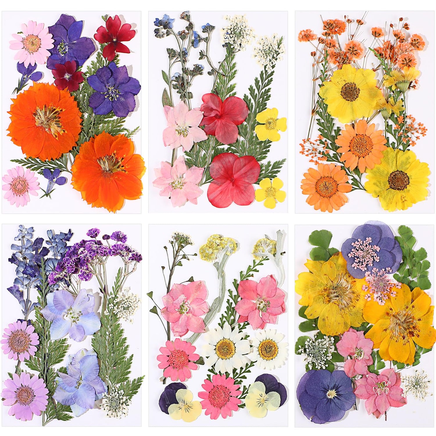eBoot 72 Pcs Dried Pressed Flowers for Resin Molds Real Pressed Flowers Dry Leaves Bulk Natural Herbs Kit for Scrapbooking DIY Art Crafts Jewelry EBOOT