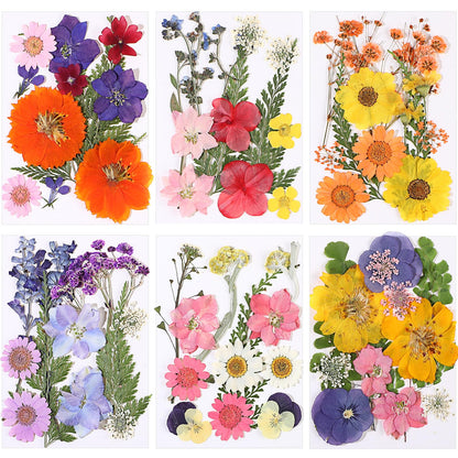 eBoot 72 Pcs Dried Pressed Flowers for Resin Molds Real Pressed Flowers Dry Leaves Bulk Natural Herbs Kit for Scrapbooking DIY Art Crafts Jewelry - WoodArtSupply