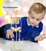 Puzzled 3D Puzzle Human Skeleton Wood Craft Construction Model Kit, Fun & Educational DIY Wooden Toy Assemble Model Unfinished Crafting Hobby Puzzle Puzzled