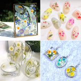 Real Dried Pressed Flower Set with Butterfly Transparent Stickers Scrapbook Decals Natural Dried Flowers Leaves with Tweezers for Resin Supplies DIY Augshy