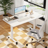 MOUNTUP 𝟓𝟓 𝐱 𝟐𝟖 Inches Electric Height Adjustable Standing Desk, Sit Stand Desk with Memory Controller, Ergonomic Stand Up Desk for Home Office with MOUNTUP