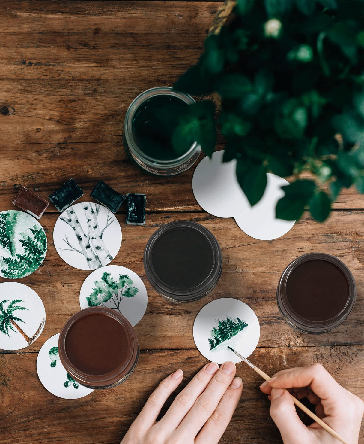 MyArtscape Acrylic Paint Set - 12 x 100ml Bottles - Artist Quality Paints - Lightfast - Heavy Body - Highly Pigmented Colors with Great Coverage - MyArtscape