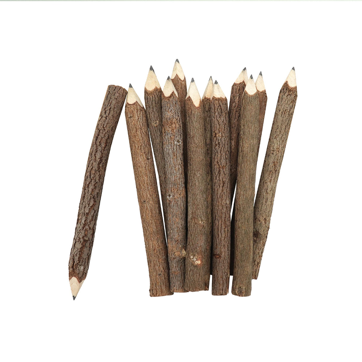BSIRI Pencil Wood Graphite Wooden Tree Rustic Twig Pencils Birch of 12 Camping Lumberjack Decorations Party Supplies Novelty Gifts Bark Pencils Gifts BSIRI
