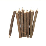 BSIRI Pencil Wood Graphite Wooden Tree Rustic Twig Pencils Birch of 12 Camping Lumberjack Decorations Party Supplies Novelty Gifts Bark Pencils Gifts BSIRI
