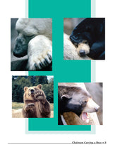 Chainsaw Carving a Bear: A Complete Step-By-Step Guide (Fox Chapel Publishing) Beginner-Friendly Details and Easy-to-Follow Illustrated Instructions Design Originals