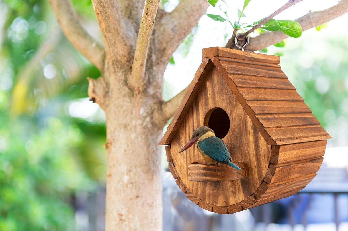 MIXUMON Bird Houses for Outside, Outdoor 3 Hole Bird House Room for 3 Bird Families Bluebird Finch Cardinals Hanging Birdhouse for Garden (Set 1) MIXUMON