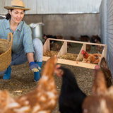 Nosiny Triple Nesting Boxes Wood Chicken Nesting Box 3 Compartment Room Hen Chicken Laying Boxes Versatile Use Easy Assemble for Duck Poultry, 37.4 x Nosiny