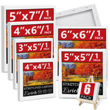 6Packs Mini Stretched Canvases for Painting with 3x5”, 4x4”, 4x6”, 5x5”, 5x7”, 6x6”, Painting Canvas for Oil & Acrylic Paint. ESRICH