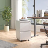 DARTIIA File Cabinet 2 Drawer with Lock No Assembly Required Lateral Office Storage Cabinet Metal Filing Cabinet for Home Office Mobile Rolling File DARTIIA