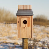 CARTMAN Cedar Blue Bird Box House, Wood Bird Houses for Outside, Hummingbird House for Outside Clearance Garden Country Cottages CARTMAN