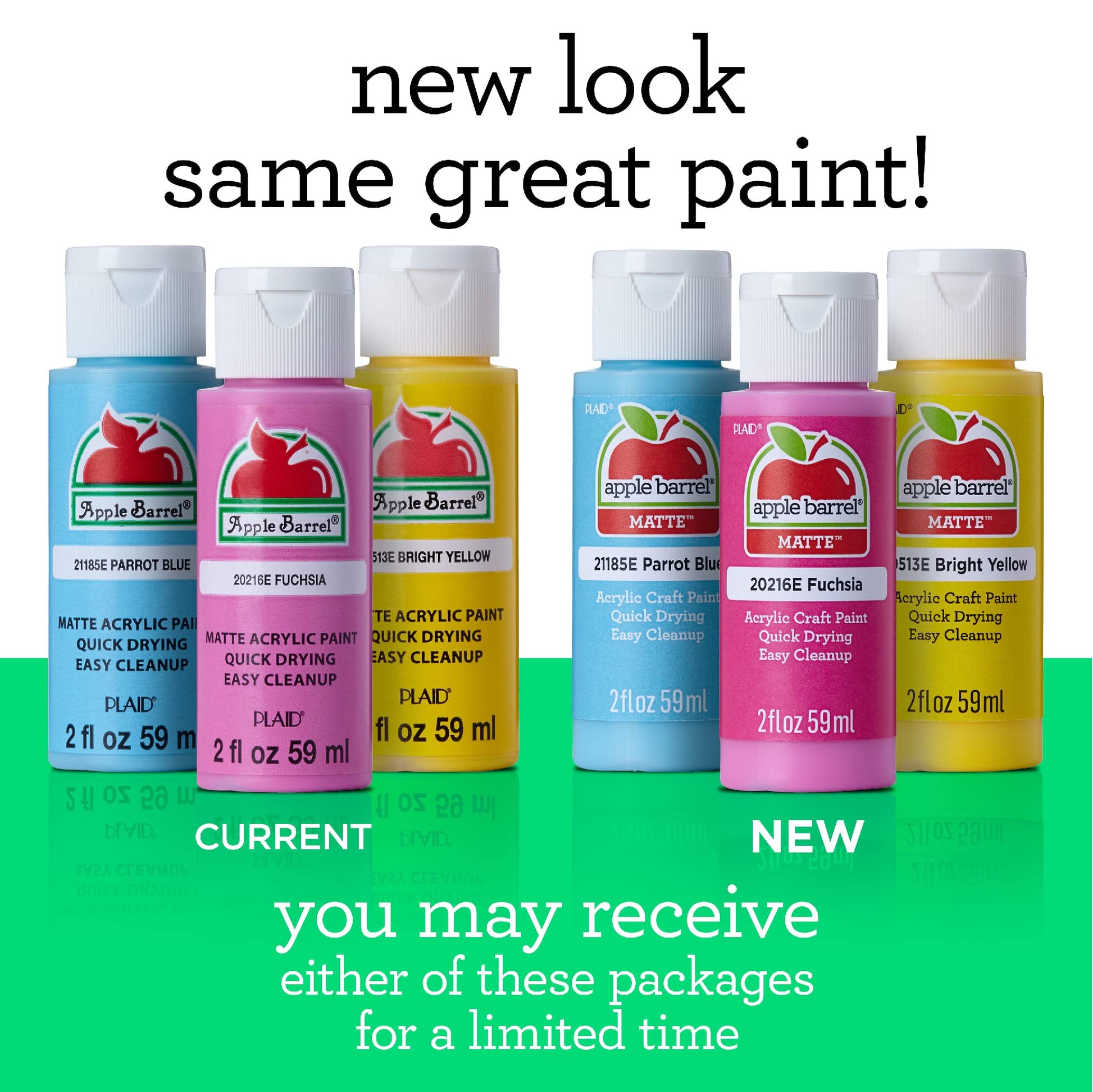 Apple Barrel Essentials 12 Color Paint Set – Activity Based Supplies
