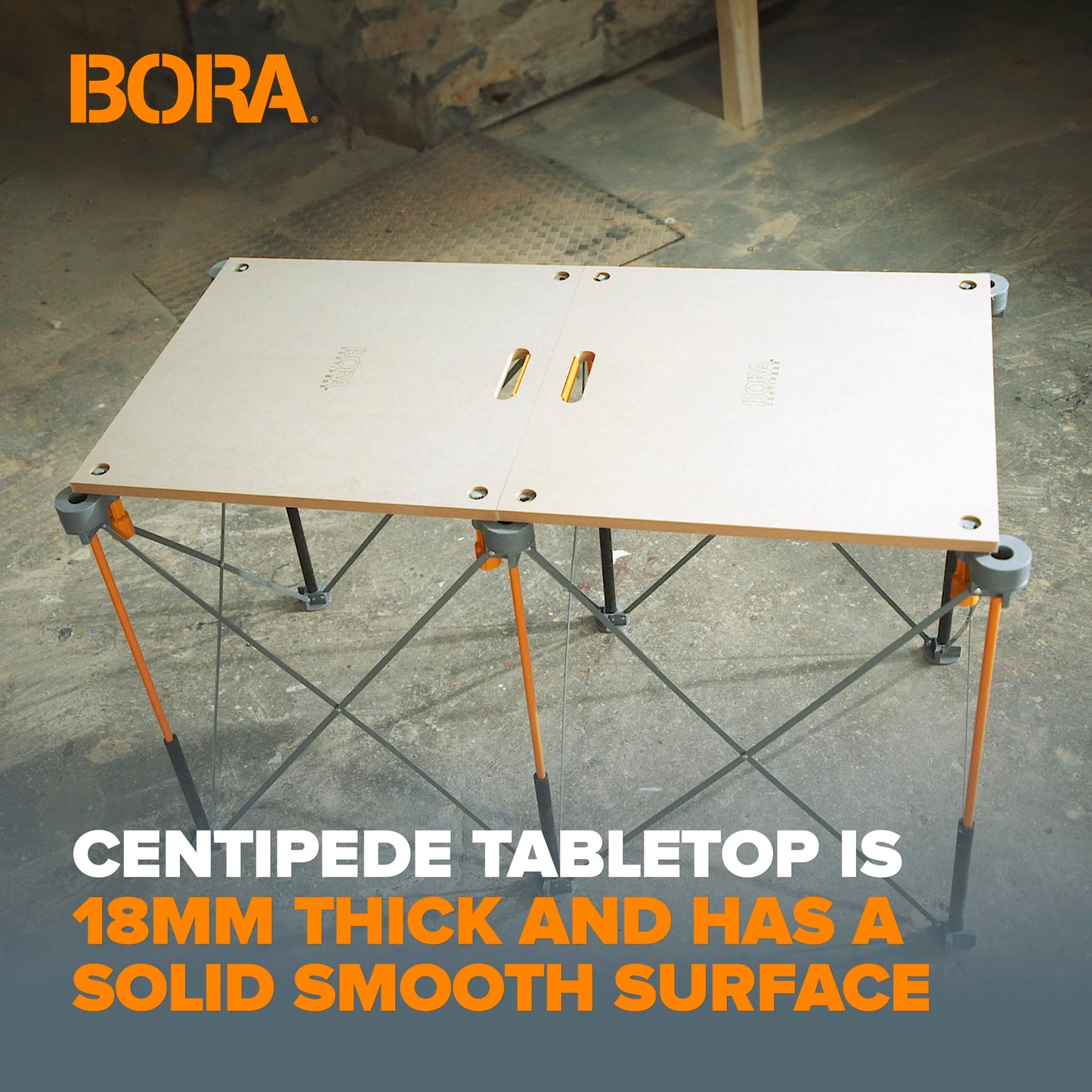 BORA Centipede Folding Table Top for Bora Centipede Work Stand Saw Horses - 24 Inch x 48 Inch - Includes Wood Top + 6 Quick-Twist Locks for a