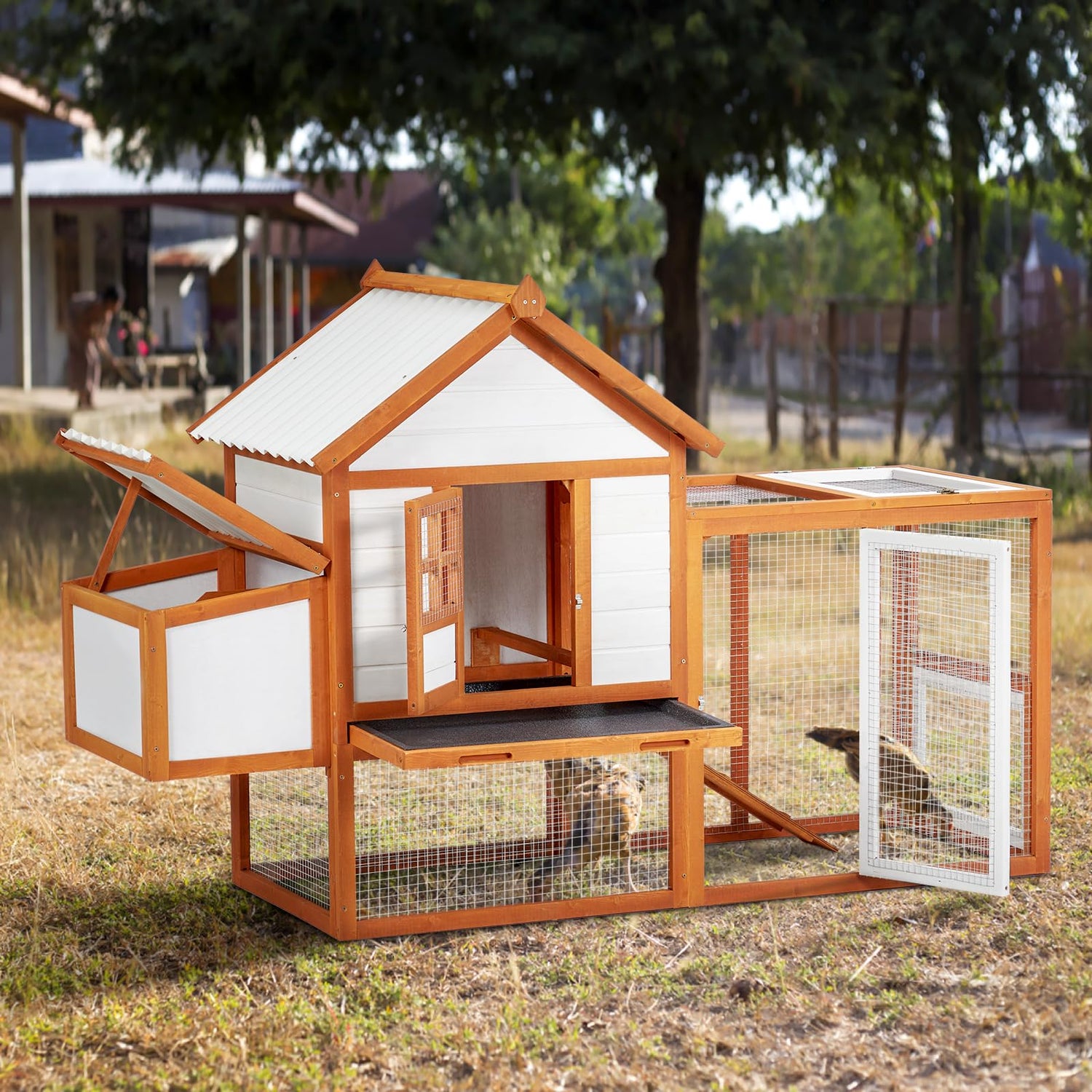 PioneerWorks Outdoor Chicken Coop Wooden Hen House with Run, Poultry Cage w/Ramps, Nesting Box, 5 Access Areas, Wire Fence, Removable Bottom for Easy PioneerWorks