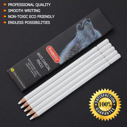 Professional Drawing Sketching Pencil Set - 12 Pieces Graphite