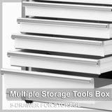 P.I.T. Mini White Tool Box, Portable 5-Drawer Micro Roll Cab Steel Tool Box with Liner, White Small Tool Case for Tools Storage, Home DIY P.I.T.