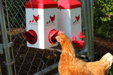 RentACoop Chick2Chicken 5lb 2-Port Feeder and 1-Gal Small Cage Waterer Set - Suitable for Chicks, Chickens, Pigeons, Quail, Game Birds RentACoop