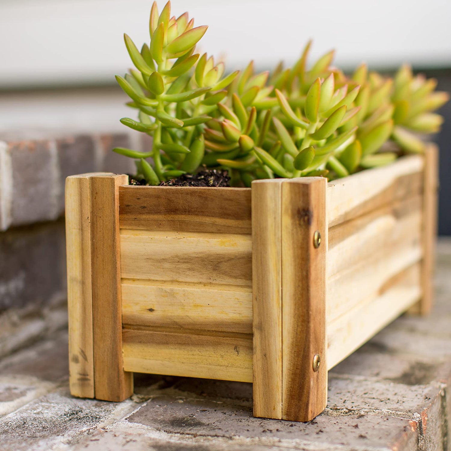 Avera Products | Raised Garden Bed | Rectangle Wood Planter Box | The Perfect Wooden Flower Box | 16" x 7.5" x 6.5" | Great Small Vegetable or Herb Avera Products