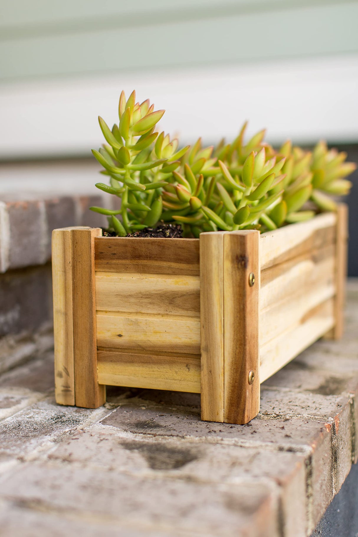 Avera Products | Raised Garden Bed | Rectangle Wood Planter Box | The Perfect Wooden Flower Box | 16" x 7.5" x 6.5" | Great Small Vegetable or Herb Avera Products
