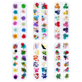 iFancer Dried Flowers for Resin Craft Nail Art Mix Small Mini Dry Flowers (Pack of 6 Boxes, About 260 PCS) iFancer