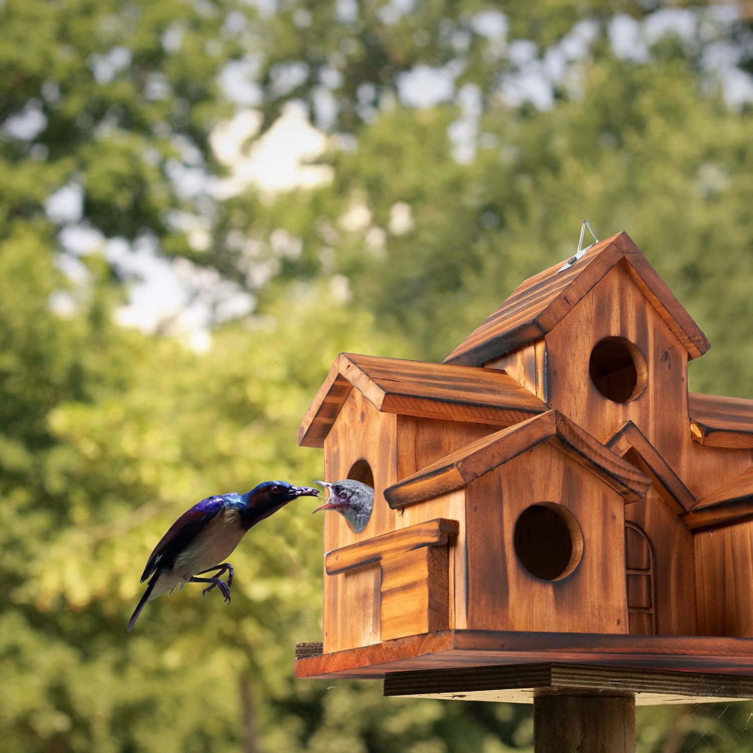 COLEBA Bird Houses for Outside,Outdoor 5 Hole Bird House Room for 5 Bird Families Bluebird Finch Cardinals Hanging Birdhouse for Garden (Brown - Set COLEBA