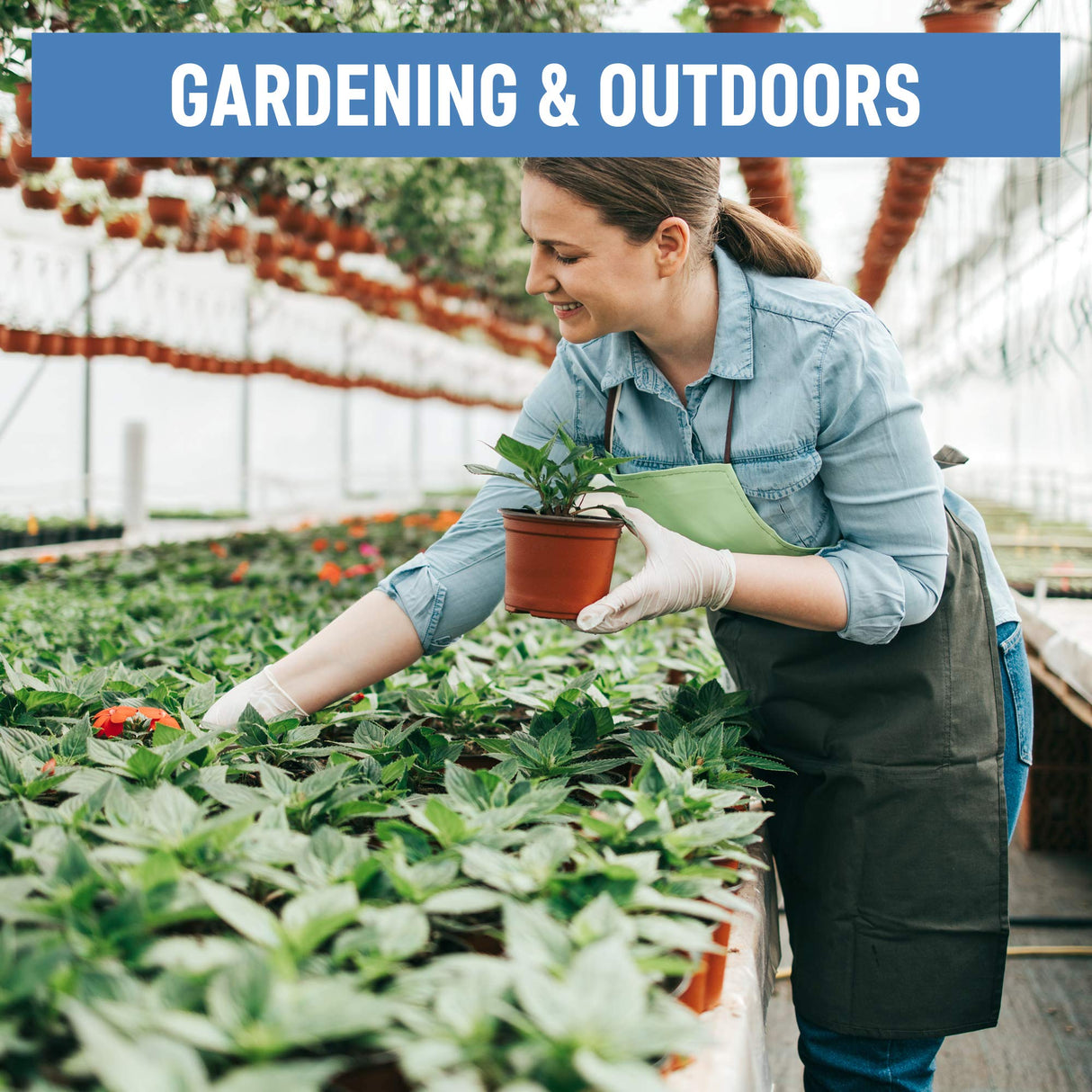 Dre Health Medium Clear Vinyl Medical Exam Gloves - Pack of 100 Dre Health