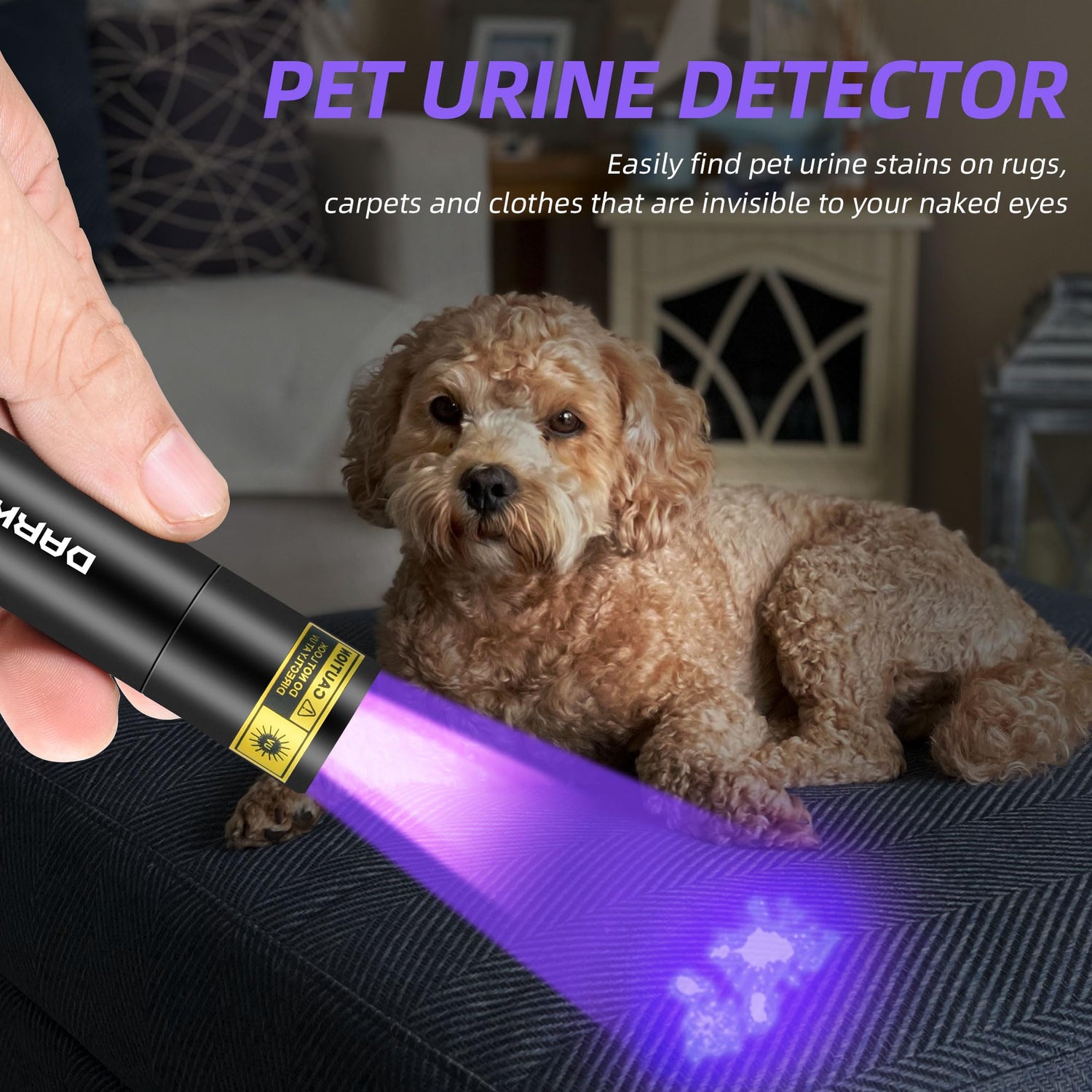 DARKBEAM Flashlight UV Black Light 395 NM, Mini but Powerful USB- C LED Rechargeable Woods Lamp, Ultraviolet Flashlights for Pet Dog Urine, Stains DARKBEAM