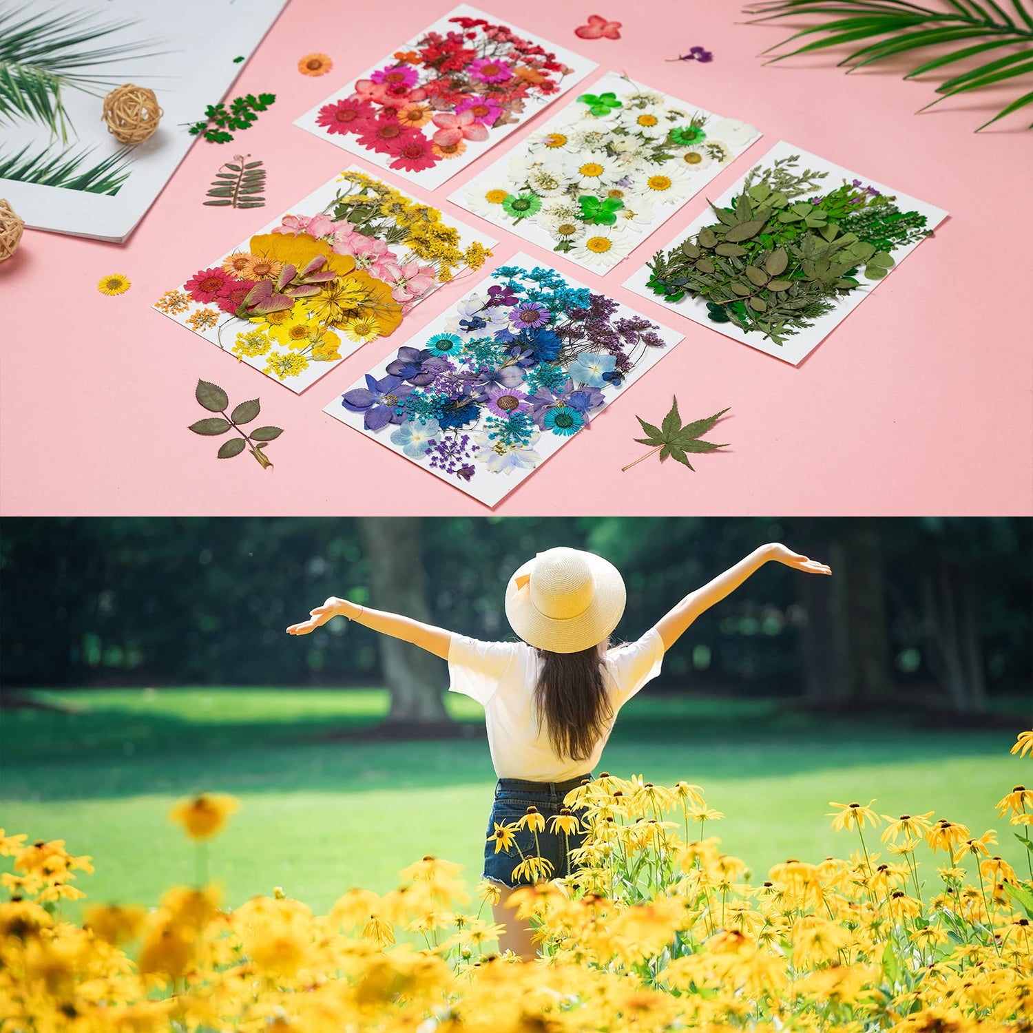 Dried Pressed Flowers, 170+ Pcs Mixed Dried Flowers for Resin, Bulk Natural Dry Floral Resin Fillers Decoration Accessories for DIY Crafts, oddava