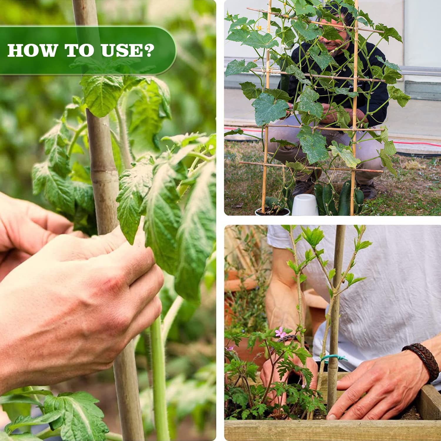 Jollybower 15pcs 3/4" D Thicker Heavy Duty Bamboo Stakes, 7FT Plant Stakes, Natural Garden Stakes for Tomato, Bean, Flowers,Trees Potted and Climbing Jollybower