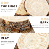 FSWCCK 6 Pack Nature Unfinished Round Wood Slices, 7-8 Inches Wooden Circle, Large Wood Slabs for Weddings Centerpieces Decor and DIY Painting Crafts FSWCCK