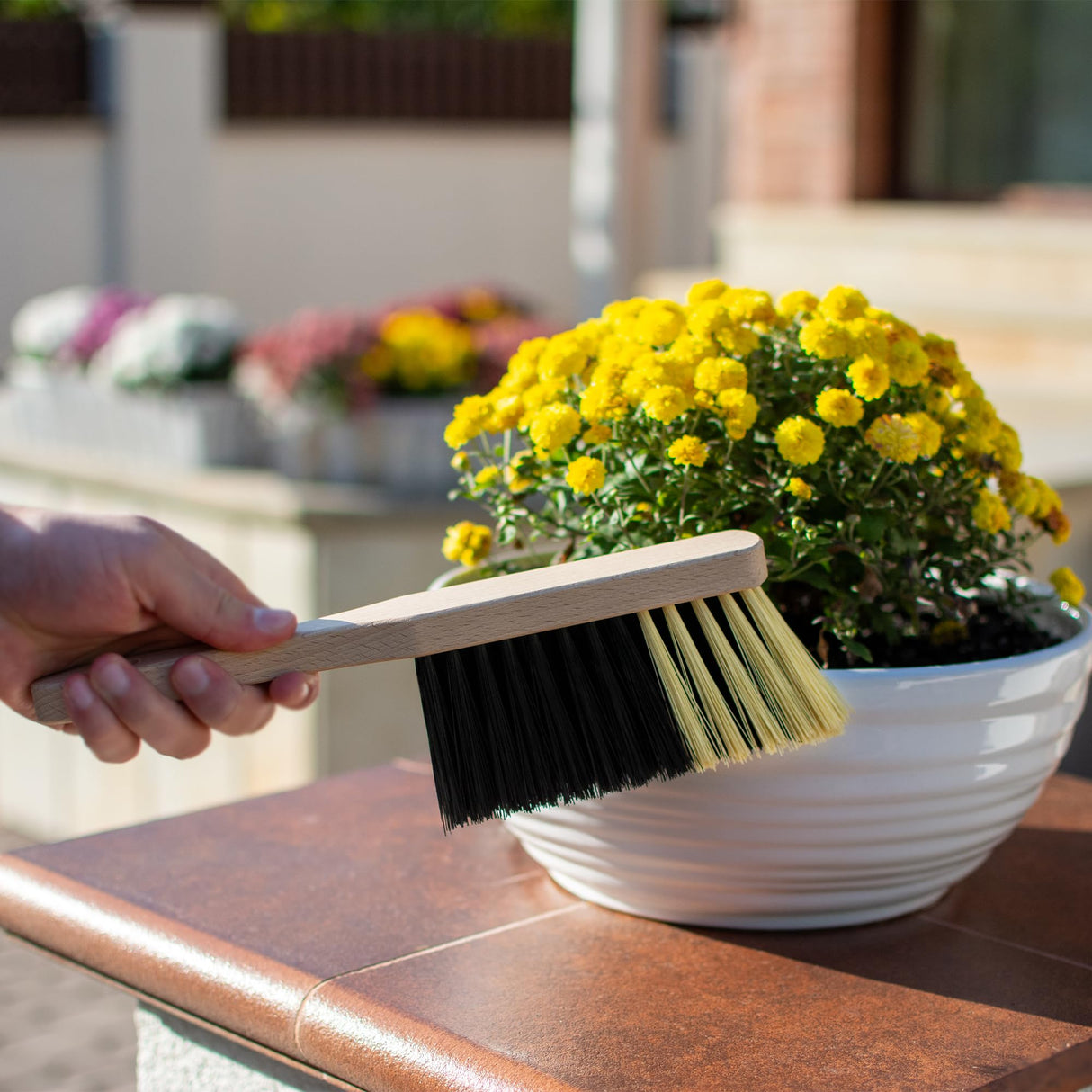 11.2" Hand Broom Medium-Soft Bristles Bench Brush, Sweeping Brush with Wooden Handle, Lightweight Dusting Brush, Handheld Small Broom, Shop Brush Harrison Greys