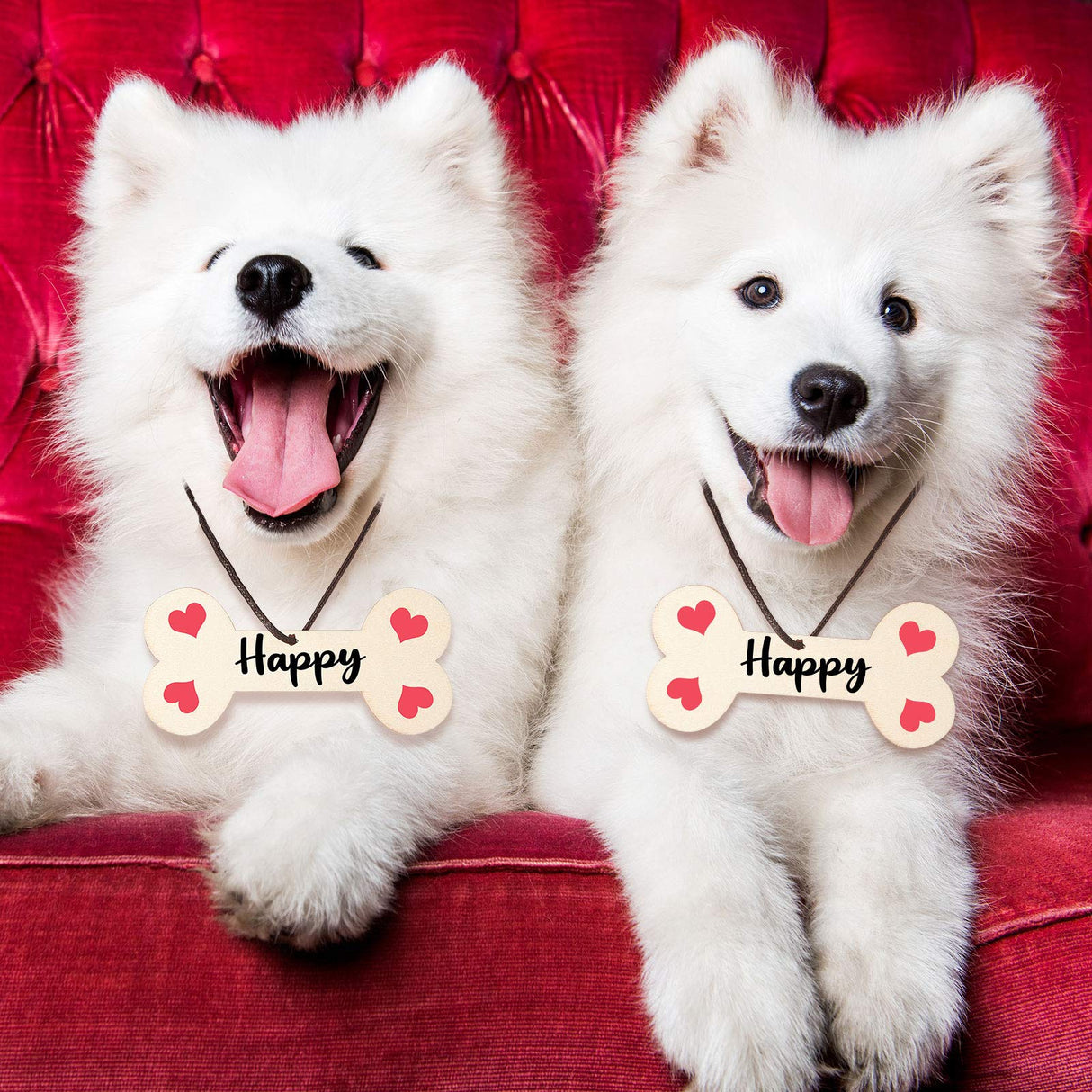 40 Pieces 4.3 x 2.2 Inches Wood Dog Bone Cutouts Unfinished Wood Dog Bone Plain Bone Shaped Wood for Crafts Wooden DIY Projects Home Decoration Jetec