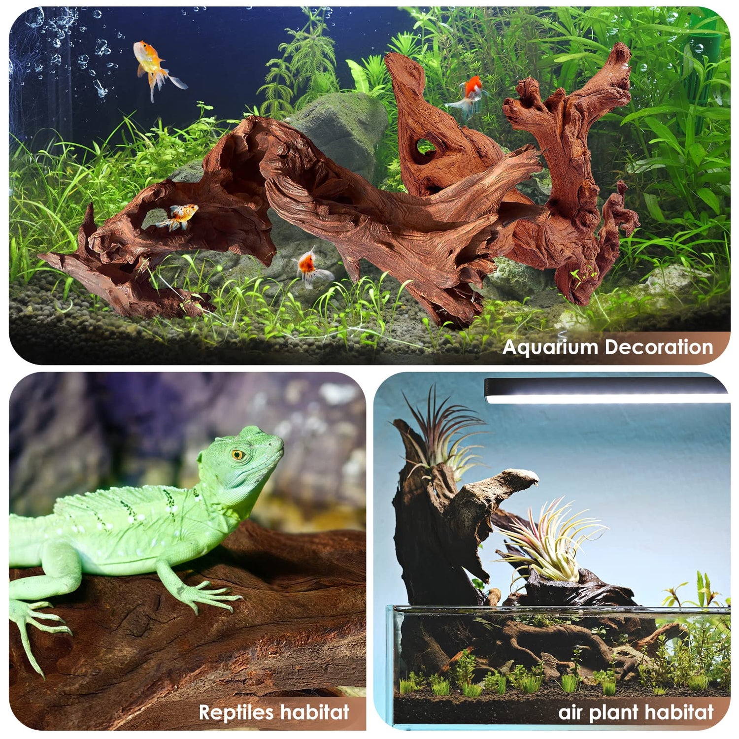 Jorewood Natural Large Coral Driftwood for Aquarium Decor Fish Tank Decorations Reptile Decor, Assorted Driftwood Branch 9-14" 2 Pcs Jorewood