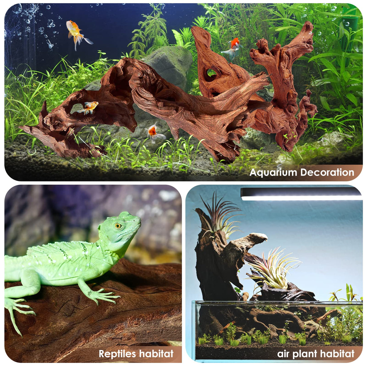 Jorewood Natural Large Coral Driftwood for Aquarium Decor Fish Tank Decorations Reptile Decor, Assorted Driftwood Branch 9-14" 2 Pcs Jorewood